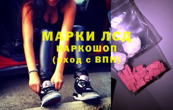 гидропоника Осинники