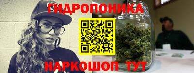шишки Ипатово