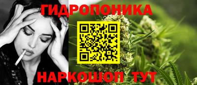 шишки Ипатово