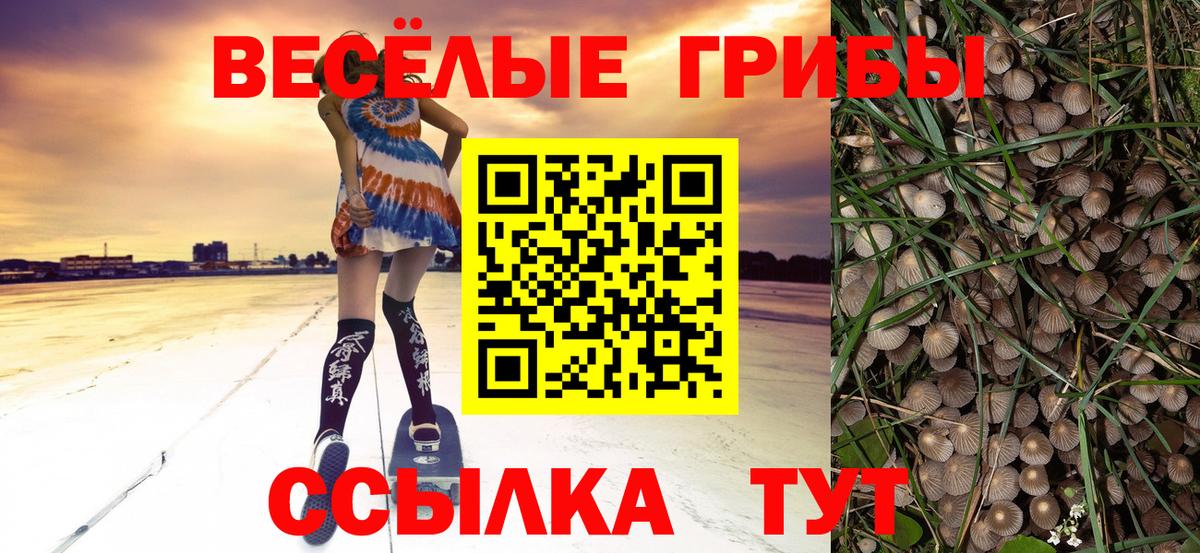 Галлюциногенные грибы Psilocybe  Вход с VPN  где продают наркотики  Шарыпово  Галлюциногенные грибы мухоморы 