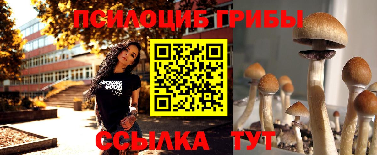 Галлюциногенные грибы Magic Shrooms Шарыпово